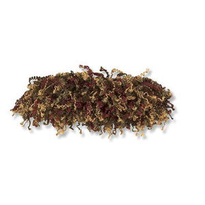 Moss Fringe Claret by Kravet Design Trim