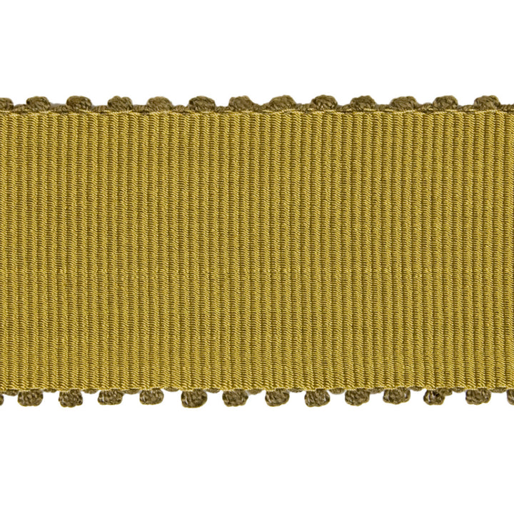 Abbey Road Dijon by Kravet Couture Trim