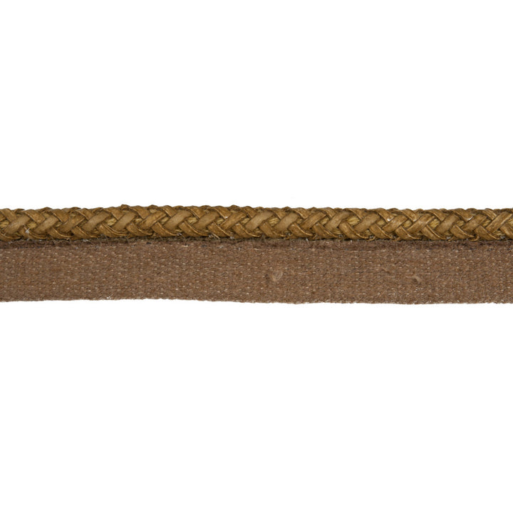 Disco Suede by Kravet Couture Trim