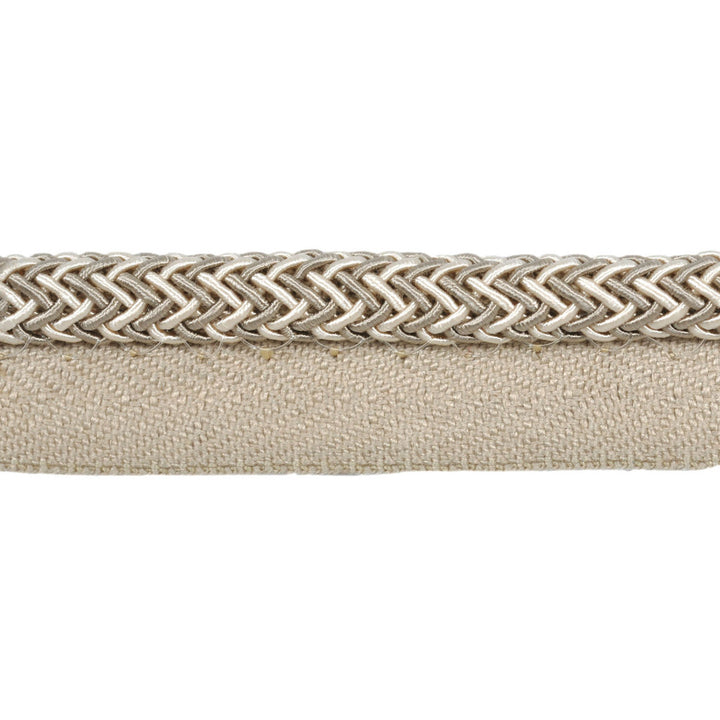 Electric Edge Taupe by Kravet Design Trim