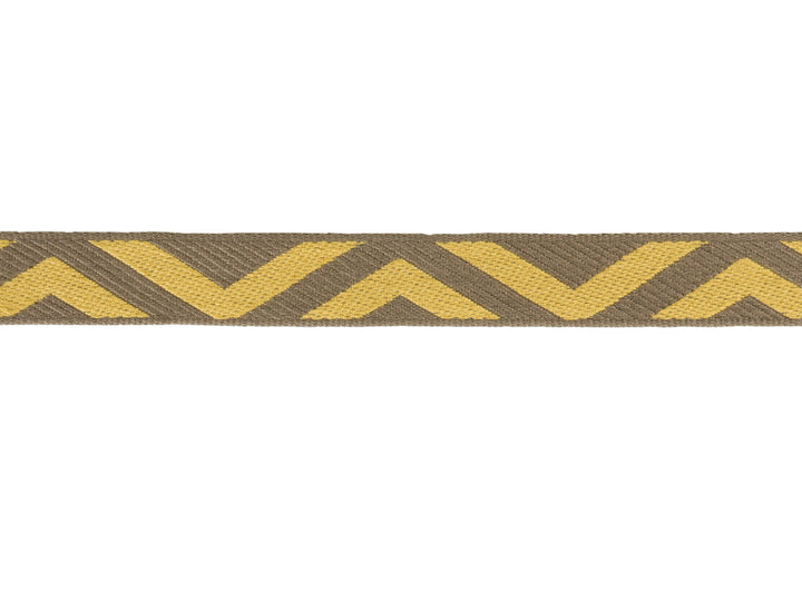 Geo Club Border Oro by Kravet Design Trim