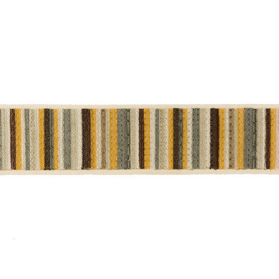 Sukari Gazelle by Kravet Design Trim