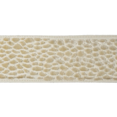 Velvet Pebble Pearl by Kravet Design Trim