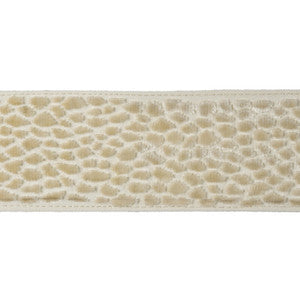 Velvet Pebble Pearl by Kravet Design Trim