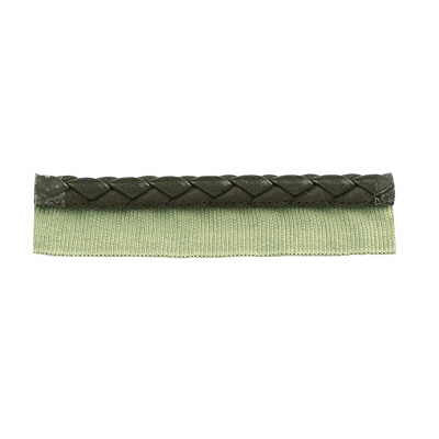 Braided Leather Cord Wlip by Kravet Design Trim