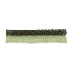 Braided Leather Cord Wlip by Kravet Design Trim