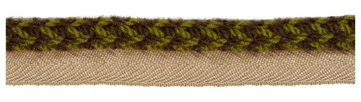Vine Cord Lichen by Kravet Design Trim