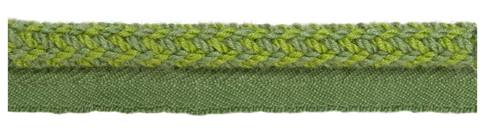 Vine Cord Mojito by Kravet Design Trim
