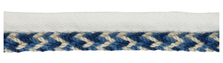 Vine Cord Seaport by Kravet Design Trim