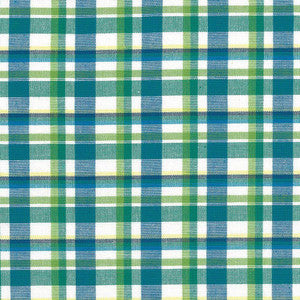 Tamron Plaid Isle Waters by Kasmir Fabric