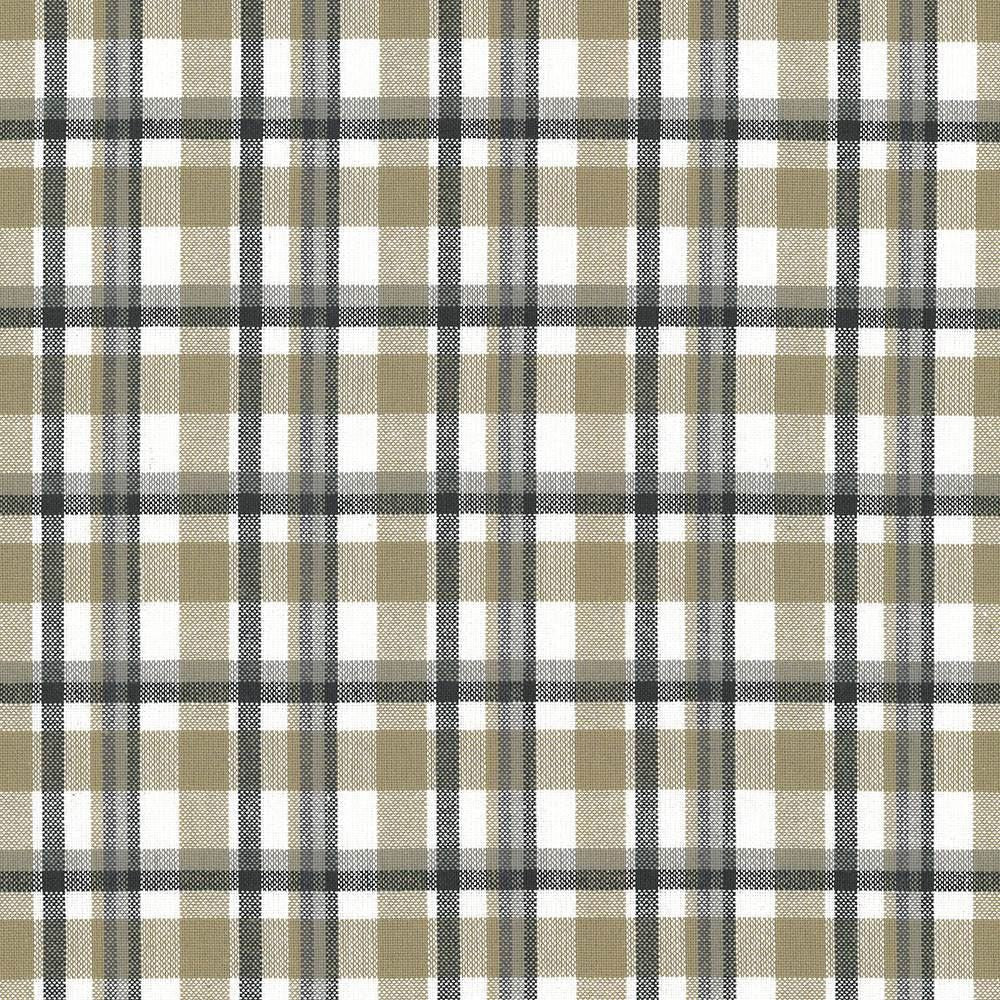 Tamron Plaid Sandstone by Kasmir Fabric 5067 100% Cotton
 INDIA 30,000 Wyzenbeek Double Rubs Horizontal: 2 inches and Vertical: 2 inches 54 - Fabric Carolina -
