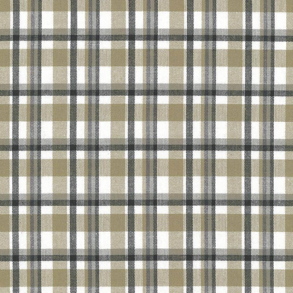 Tamron Plaid Sandstone by Kasmir Fabric 5067 INDIA 30,000 Wyzenbeek Double Rubs H: 2 inches, V:2 inches 54 - Fabric Carolina - Kasmir
