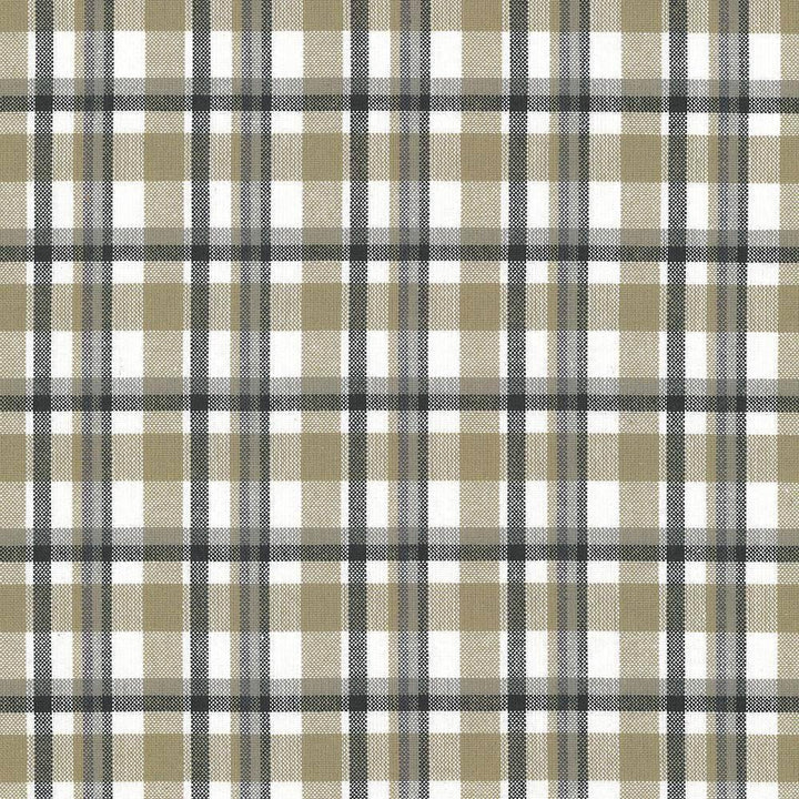 Tamron Plaid Sandstone by Kasmir Fabric 5067 INDIA 30,000 Wyzenbeek Double Rubs H: 2 inches, V:2 inches 54 - Fabric Carolina - Kasmir
