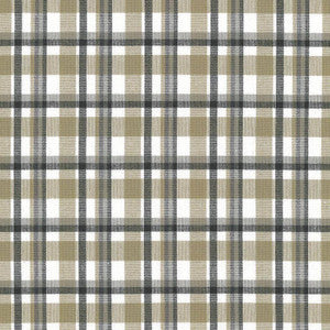 Tamron Plaid Sandstone by Kasmir Fabric