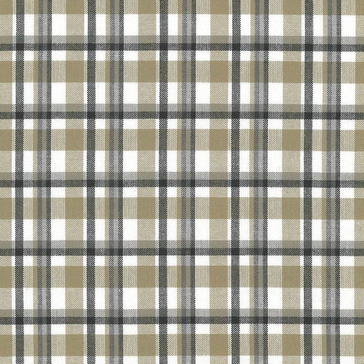 Tamron Plaid Sandstone by Kasmir Fabric 5067 100% Cotton
 INDIA 30,000 Wyzenbeek Double Rubs </p><p>Repeat: Horizontal: 2 inches and Vertical: 2 inches 54 - Fabric Carolina -