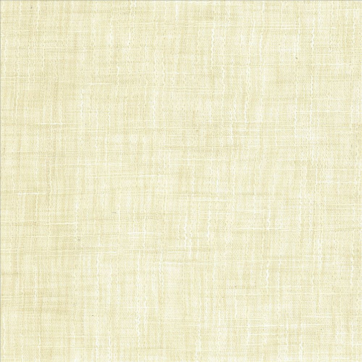 Tao Texture Alabaster by Kasmir Fabric 5061 100% Polyester INDIA Not Tested Horizontal: 0 Inches and Vertical: 0 Inches 54 - Fabric Carolina -