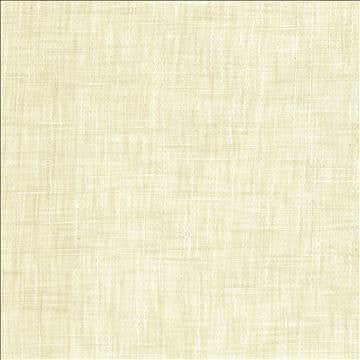 Tao Texture Alabaster by Kasmir Fabric 5139 100% Polyester INDIA Not Tested H: N/A, V: N/A 54 - Fabric Carolina - Kasmir