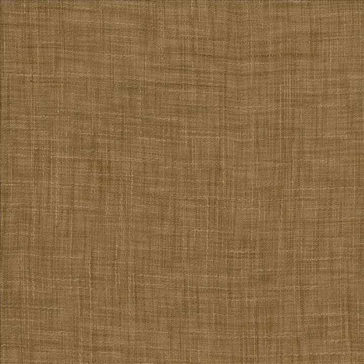 Tao Texture Caramel by Kasmir Fabric 5061 100% Polyester
 INDIA Not Tested </p><p>Repeat: Horizontal: N/A and Vertical: N/A 54 - Fabric Carolina -