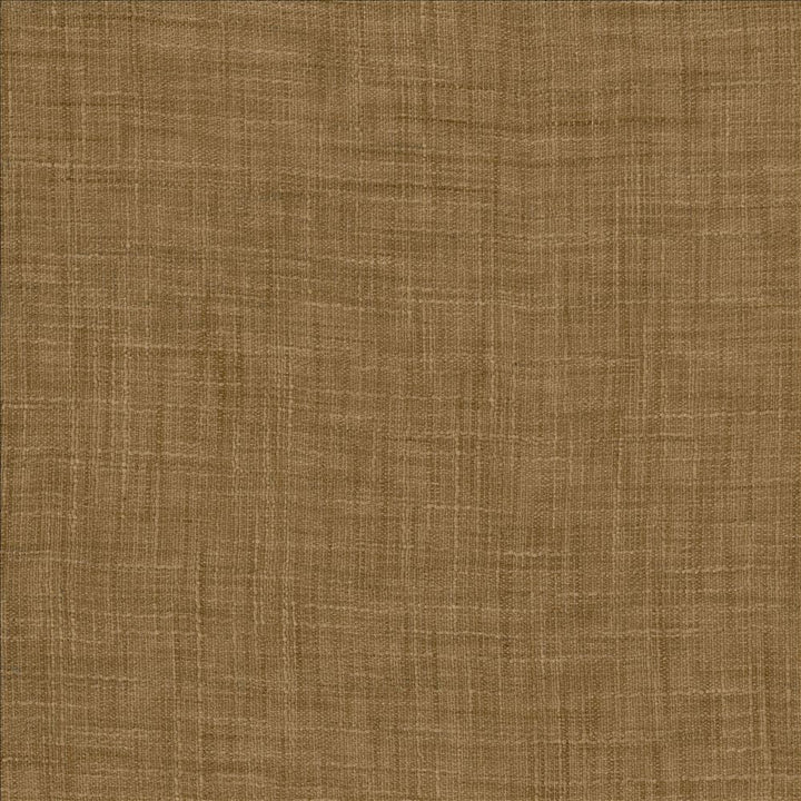 Tao Texture Caramel by Kasmir Fabric 5061 100% Polyester
 INDIA </p><p>Repeat: Horizontal: N/A and Vertical: N/A 54 - Fabric Carolina -