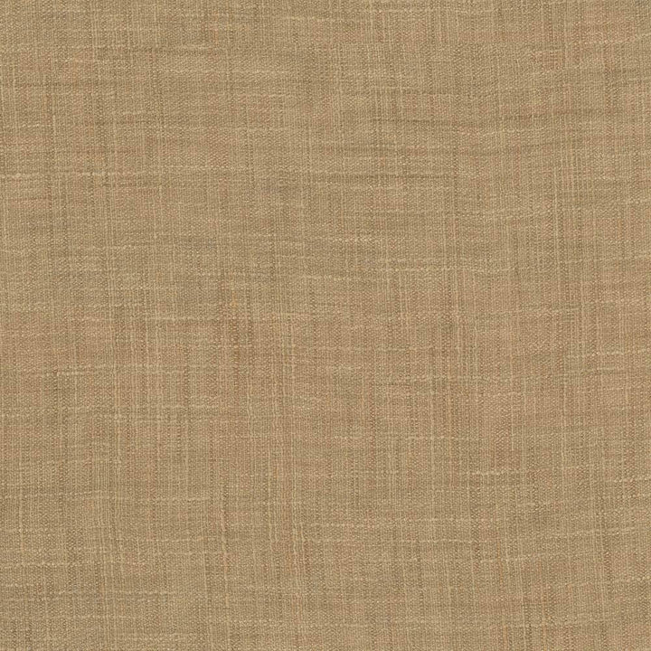 Tao Texture Caramel by Kasmir Fabric 5061 INDIA Not Tested H: N/A, V:N/A 54 - Fabric Carolina - Kasmir