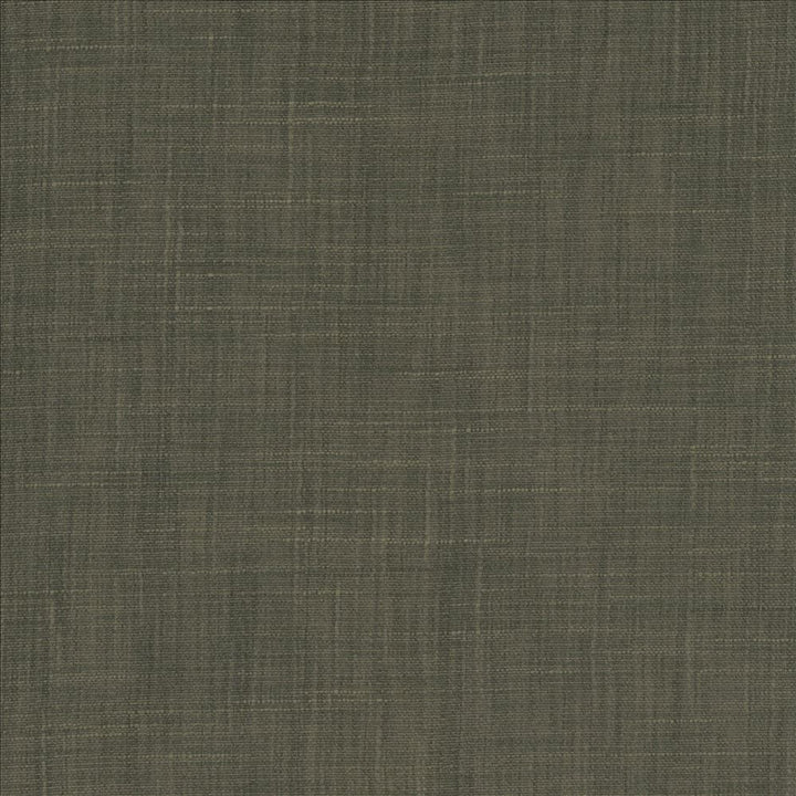Tao Texture Charcoal  by Kasmir Fabric See sample 100% Polyester
 INDIA Not Tested </p><p>Repeat: Horizontal: N/A and Vertical: N/A 54  - Fabric Carolina -