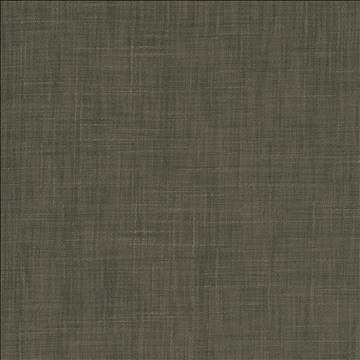 Tao Texture Charcoal by Kasmir Fabric 5061 100% Polyester INDIA Not Tested H: N/A, V: N/A 54 - Fabric Carolina - Kasmir