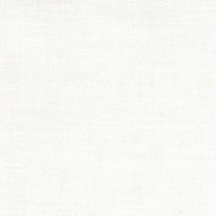 Tao Texture Crystal by Kasmir Fabric 5061 INDIA Not Tested H: N/A, V:N/A 54 - Fabric Carolina - Kasmir