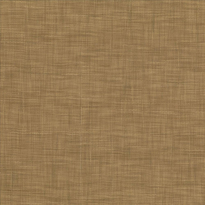 Tao Texture Nutmeg by Kasmir Fabric 5139 100% Polyester
 INDIA Not Tested Horizontal: N/A and Vertical: N/A 54 - Fabric Carolina -