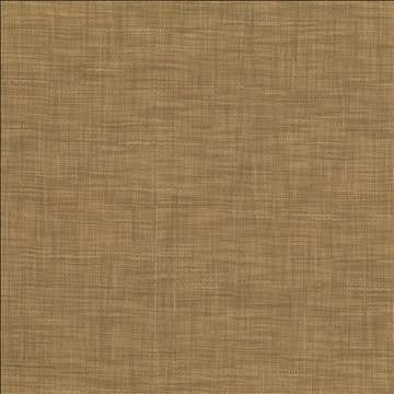 Tao Texture Nutmeg by Kasmir Fabric 5139 100% Polyester INDIA Not Tested H: N/A, V: N/A 54 - Fabric Carolina - Kasmir