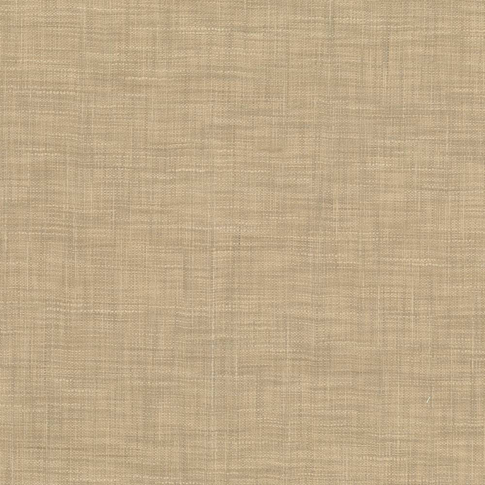 Tao Texture Nutmeg by Kasmir Fabric 5061 INDIA Not Tested H: N/A, V:N/A 54 - Fabric Carolina - Kasmir