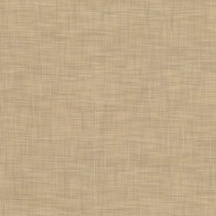 Tao Texture Nutmeg by Kasmir Fabric 5061 INDIA Not Tested H: N/A, V:N/A 54 - Fabric Carolina - Kasmir