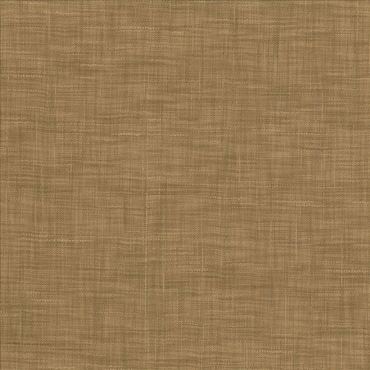 Tao Texture Nutmeg by Kasmir Fabric 5139 100% Polyester
 INDIA </p><p>Repeat: Horizontal: N/A and Vertical: N/A 54 - Fabric Carolina -