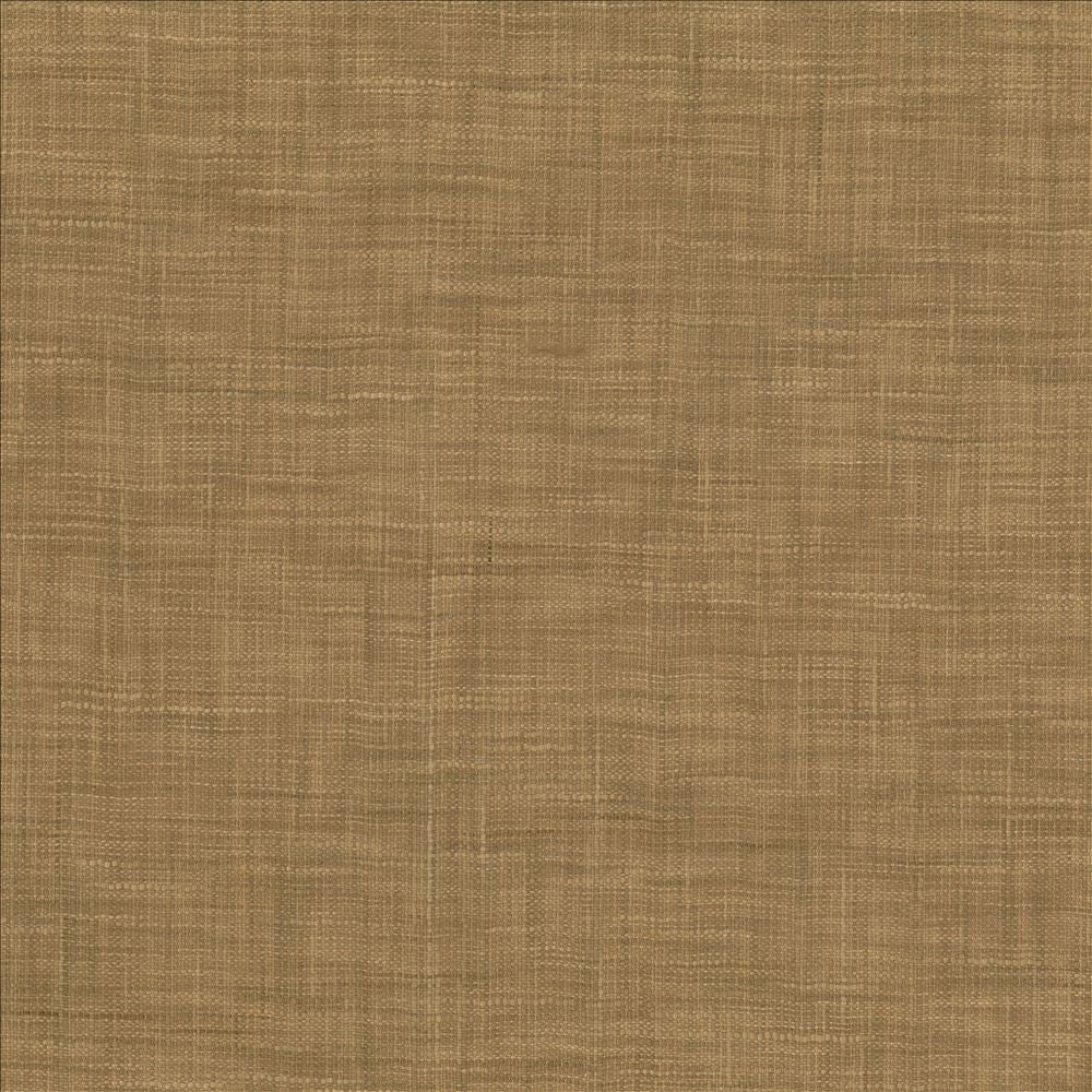 Tao Texture Nutmeg by Kasmir Fabric 5139 100% Polyester
 INDIA </p><p>Repeat: Horizontal: N/A and Vertical: N/A 54 - Fabric Carolina -