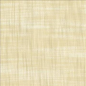 Tao Texture Oyster by Kasmir Fabric 5061 100% Polyester INDIA Not Tested H: N/A, V: N/A 54 - Fabric Carolina - Kasmir
