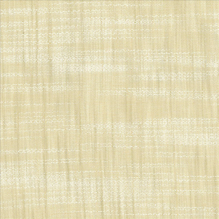 Tao Texture Oyster by Kasmir Fabric 5061 100% Polyester
 INDIA </p><p>Repeat: Horizontal: N/A and Vertical: N/A 54 - Fabric Carolina -