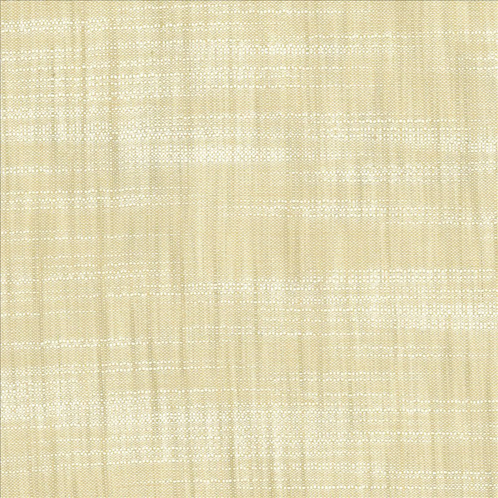 Tao Texture Oyster by Kasmir Fabric 5139 100% Polyester
 INDIA Not Tested Horizontal: N/A and Vertical: N/A 54 - Fabric Carolina -