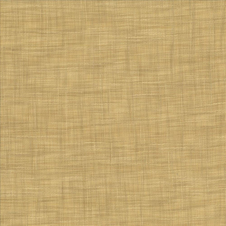 Tao Texture Parchment by Kasmir Fabric 5061 100% Polyester INDIA Not Tested Horizontal: 0 Inches and Vertical: 0 Inches 54 - Fabric Carolina -