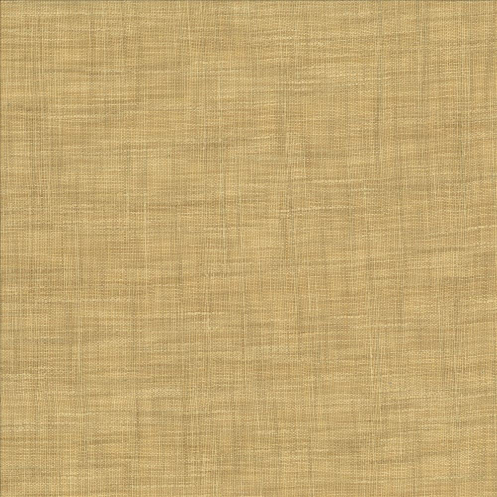 Tao Texture Parchment by Kasmir Fabric 5061 100% Polyester
 INDIA </p><p>Repeat: Horizontal: N/A and Vertical: N/A 54 - Fabric Carolina -