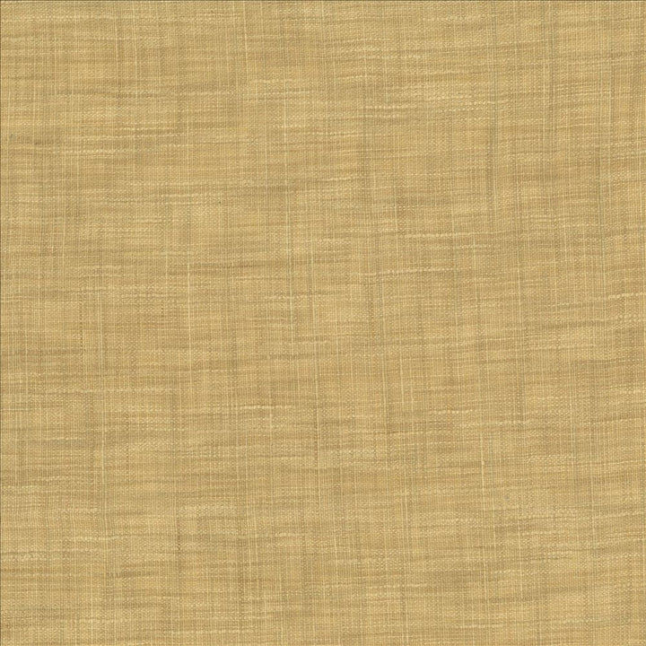 Tao Texture Parchment by Kasmir Fabric 5061 100% Polyester
 INDIA </p><p>Repeat: Horizontal: N/A and Vertical: N/A 54 - Fabric Carolina -
