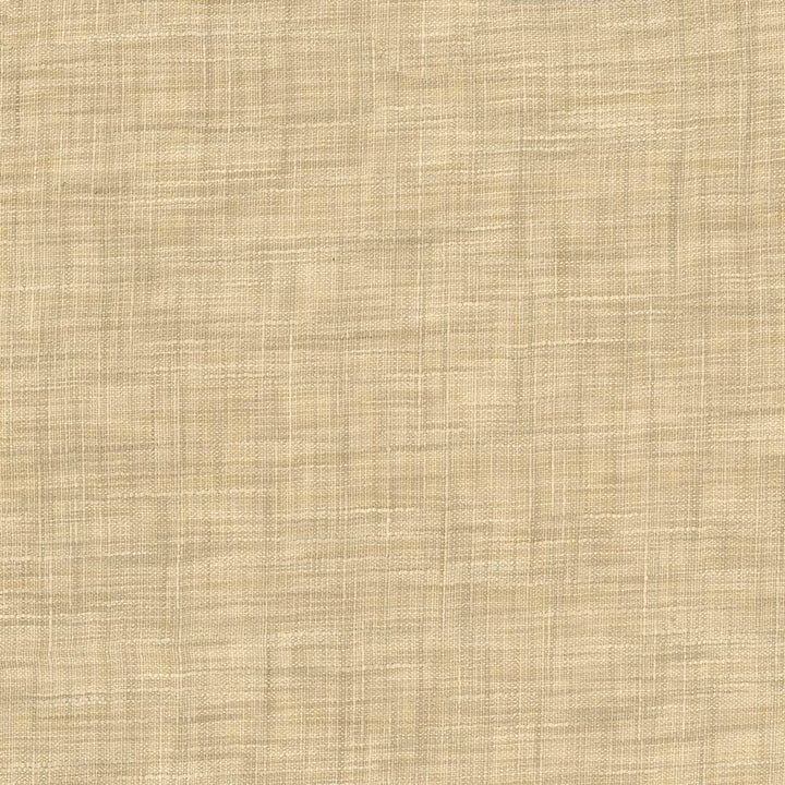 Tao Texture Parchment by Kasmir Fabric 5061 INDIA Not Tested H: N/A, V:N/A 54 - Fabric Carolina - Kasmir