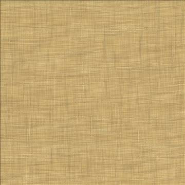 Tao Texture Parchment by Kasmir Fabric 5061 100% Polyester INDIA Not Tested H: N/A, V: N/A 54 - Fabric Carolina - Kasmir