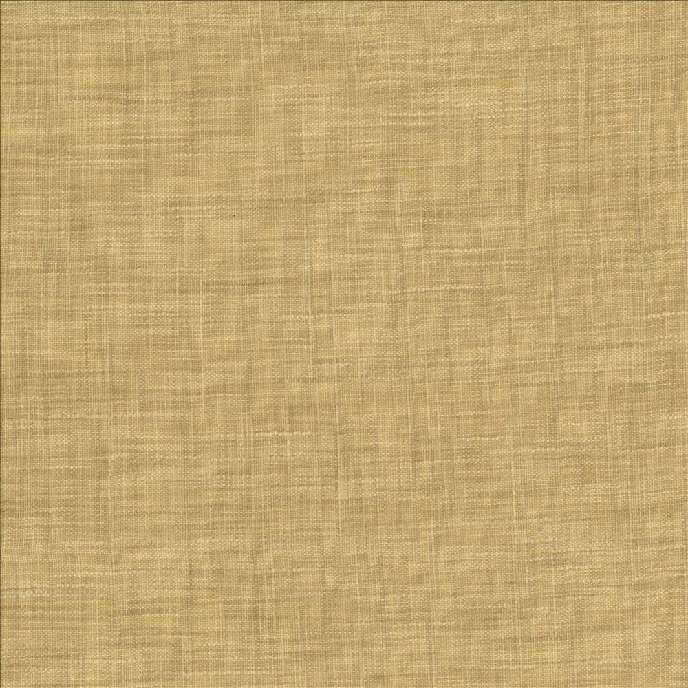 Tao Texture Parchment by Kasmir Fabric 5061 100% Polyester
 INDIA Not Tested Horizontal: N/A and Vertical: N/A 54 - Fabric Carolina -