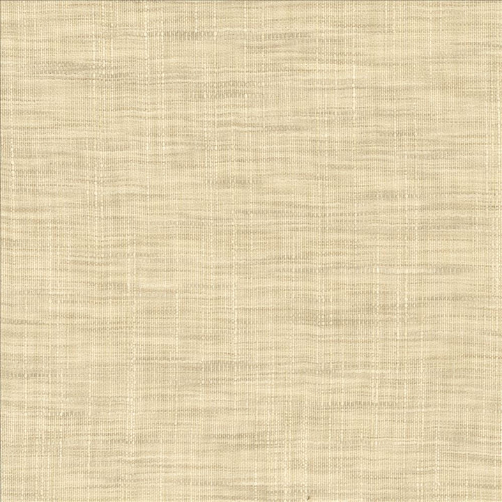 Tao Texture Pebble by Kasmir Fabric 5139 100% Polyester
 INDIA Not Tested </p><p>Repeat: Horizontal: N/A and Vertical: N/A 54 - Fabric Carolina -