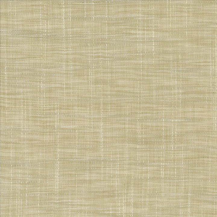 Tao Texture Pebble by Kasmir Fabric 5139 100% Polyester
 INDIA </p><p>Repeat: Horizontal: N/A and Vertical: N/A 54 - Fabric Carolina -