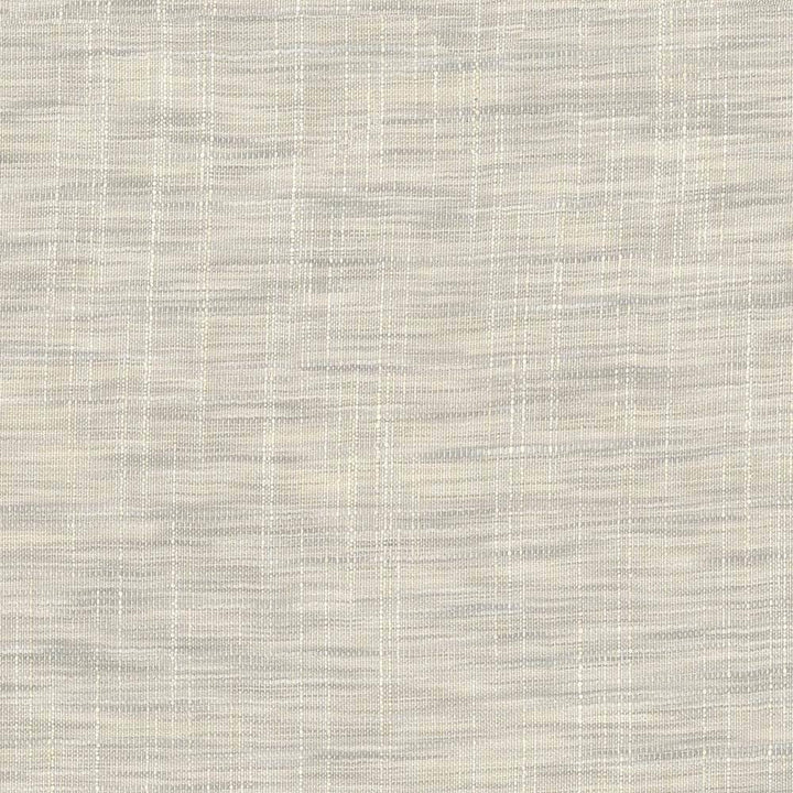 Tao Texture Pebble by Kasmir Fabric 5061 INDIA Not Tested H: N/A, V:N/A 54 - Fabric Carolina - Kasmir