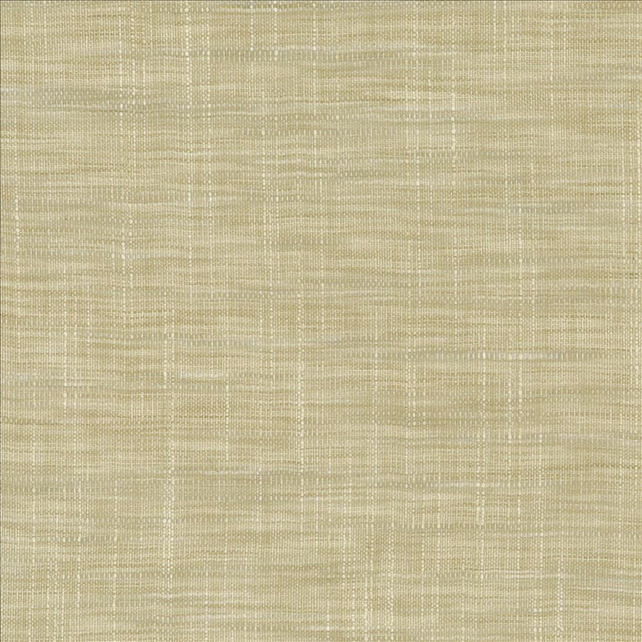 Tao Texture Pebble  by Kasmir Fabric See sample 100% Polyester
 INDIA Not Tested </p><p>Repeat: Horizontal: N/A and Vertical: N/A 54  - Fabric Carolina -