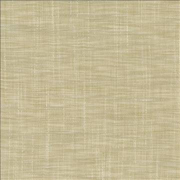 Tao Texture Pebble by Kasmir Fabric 5139 100% Polyester INDIA Not Tested H: N/A, V: N/A 54 - Fabric Carolina - Kasmir