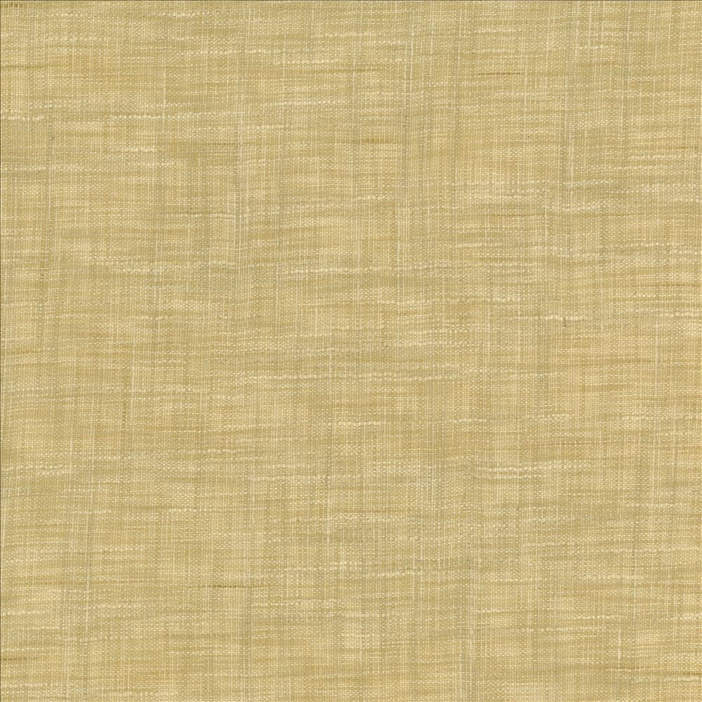 Tao Texture Rice by Kasmir Fabric 5061 100% Polyester
 INDIA </p><p>Repeat: Horizontal: N/A and Vertical: N/A 54 - Fabric Carolina -