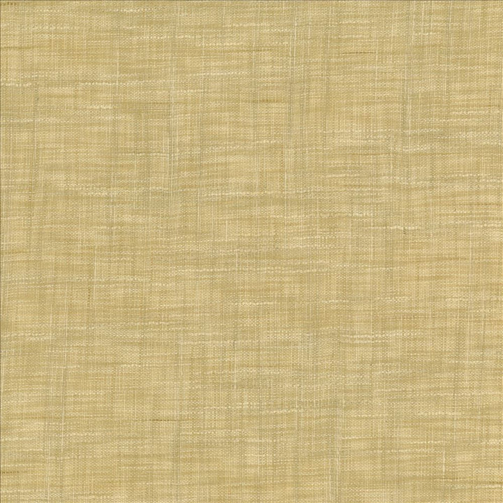 Tao Texture Rice by Kasmir Fabric 5139 100% Polyester
 INDIA </p><p>Repeat: Horizontal: N/A and Vertical: N/A 54 - Fabric Carolina -