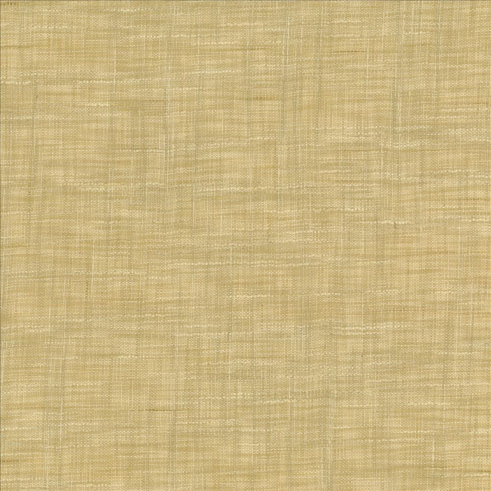 Tao Texture Rice by Kasmir Fabric 5139 100% Polyester
 INDIA Not Tested Horizontal: N/A and Vertical: N/A 54 - Fabric Carolina -